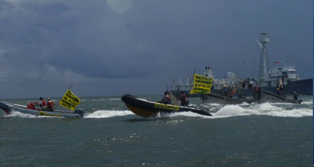 Low Res Greenpeace photo.jpg